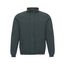 M857JKN4100725-JAQUETA-ROLY-JACKET-IVY-GREEN