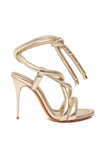 Aysha-Birman-100-Golden