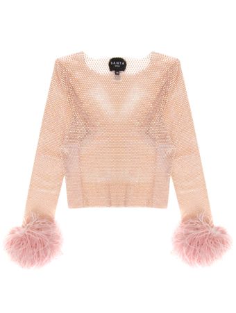 Top-Cropped-Feathers-Rosa