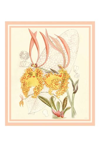 Lenco-Panneau-Orchid-Floral