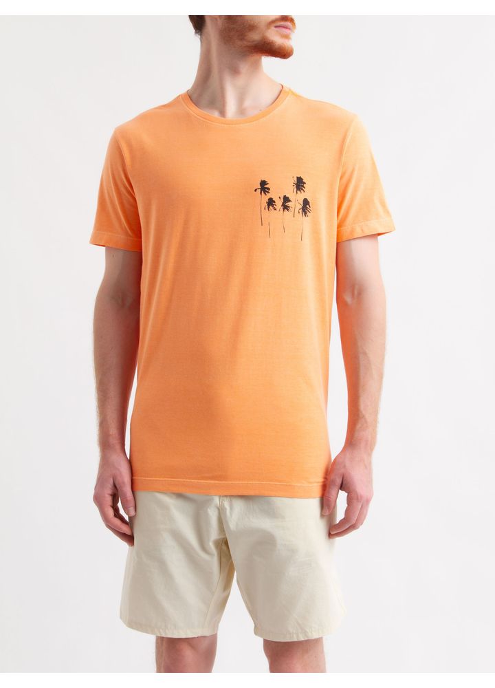 T-Shirt-Stone-Coqueiros