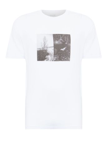 T-shirt-Stone-Diptico