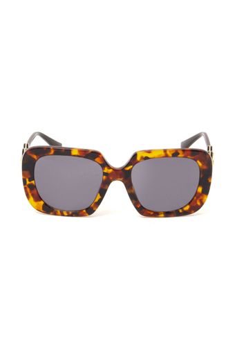 Oculos-Brodie-Tartaruga